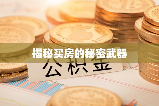新津揭秘买房的秘密武器