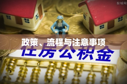 新津政策、流程与注意事项