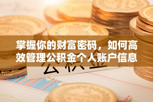 新津掌握你的财富密码，如何高效管理公积金个人账户信息