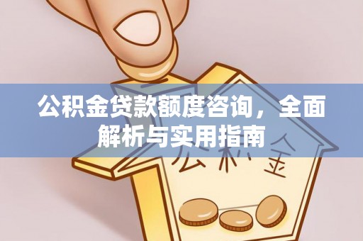 新津公积金贷款额度咨询，全面解析与实用指南