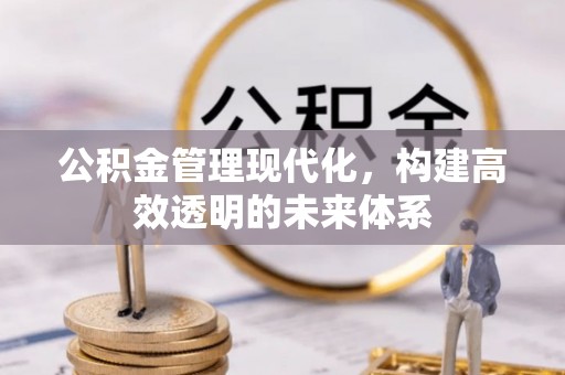 新津公积金管理现代化，构建高效透明的未来体系