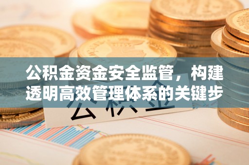 新津公积金资金安全监管，构建透明高效管理体系的关键步骤