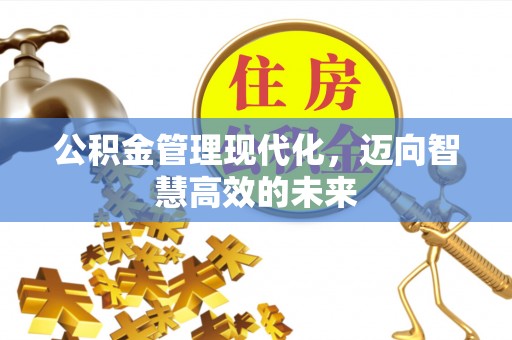 新津公积金管理现代化，迈向智慧高效的未来