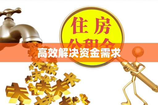 新津高效解决资金需求