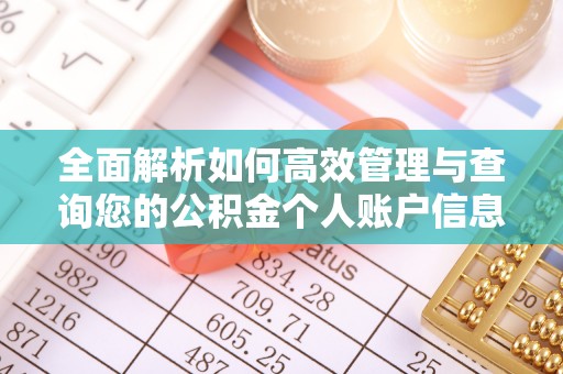 新津全面解析如何高效管理与查询您的公积金个人账户信息