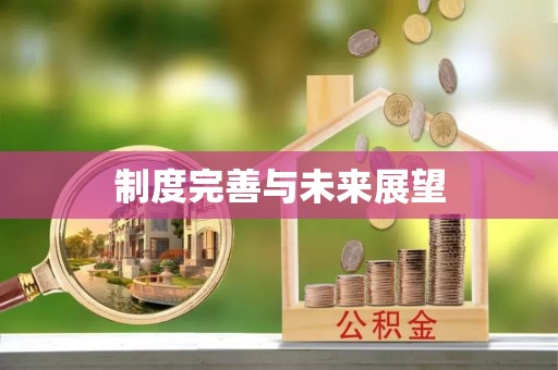 新津制度完善与未来展望