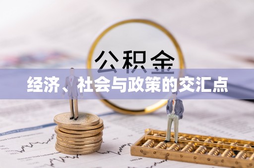 新津经济、社会与政策的交汇点