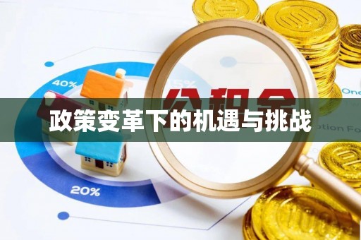 新津政策变革下的机遇与挑战