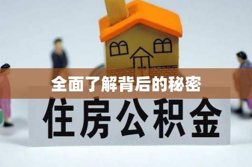 新津全面了解背后的秘密