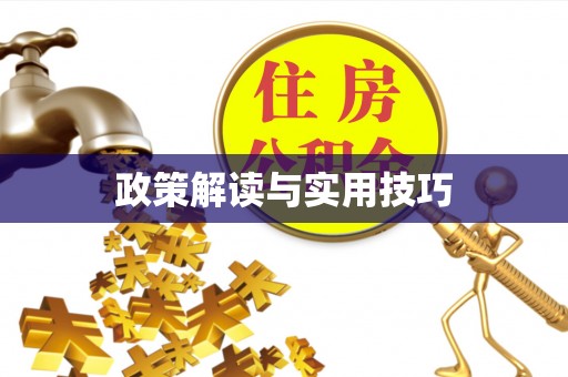 新津政策解读与实用技巧