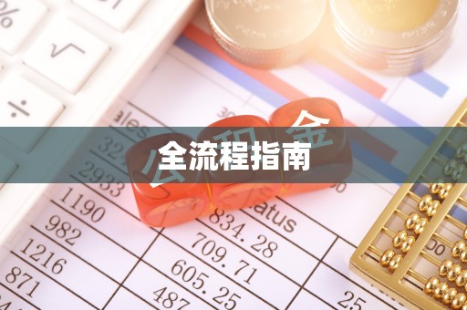 新津全流程指南