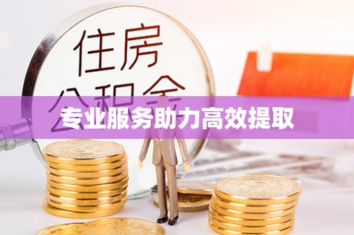 新津专业服务助力高效提取
