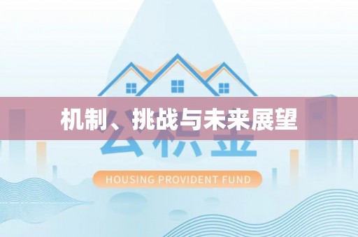 新津机制、挑战与未来展望