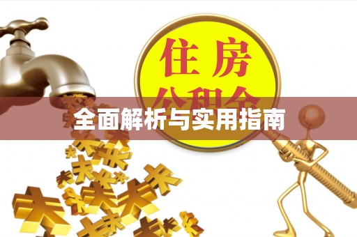 新津全面解析与实用指南